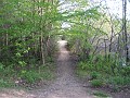Tilton NH Rail Trail 2010 0455